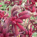 DSCN0047.JPG