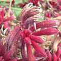 DSCN0048.JPG