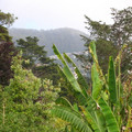 DSCN0049.JPG