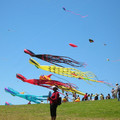 DSCN0060.JPG
