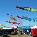 DSCN0062.JPG