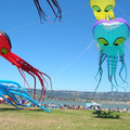 DSCN0063.JPG