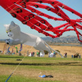 DSCN0064.JPG