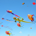 DSCN0067.JPG