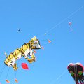 DSCN0068.JPG