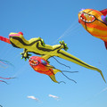 DSCN0069.JPG