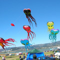 DSCN0071.JPG