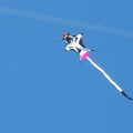 DSCN0074.JPG