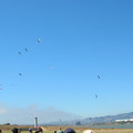 DSCN0078.JPG