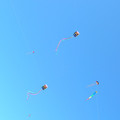 DSCN0079.JPG