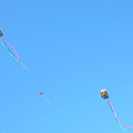 DSCN0080.JPG