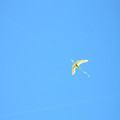 DSCN0081.JPG