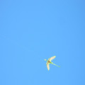 DSCN0082.JPG
