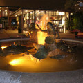 DSCN0097.JPG