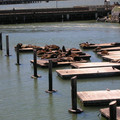 DSCN0118.JPG
