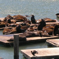 DSCN0119.JPG