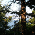DSCN0125.JPG