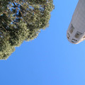 DSCN0131.JPG