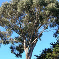 DSCN0132.JPG