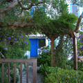 DSCN0146.JPG