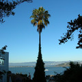 DSCN0147.JPG
