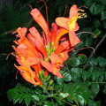 DSCN0148.JPG