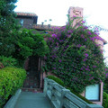 DSCN0149.JPG