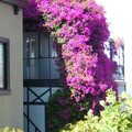DSCN2210.JPG