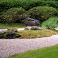 DSCN2217.JPG