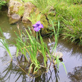 DSCN2218.JPG
