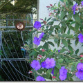 DSCN2475.jpg