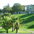 DSCN2478.jpg