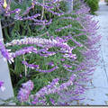 DSCN2479.jpg