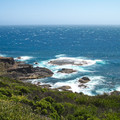 IMGP5573_lzn.jpg