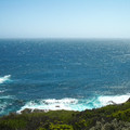 IMGP5575_lzn.jpg