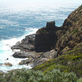 IMGP5576_lzn.jpg