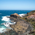 IMGP5580_lzn.jpg