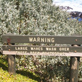 IMGP5587_lzn.jpg