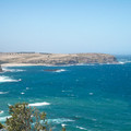 IMGP5604_lzn.jpg