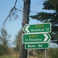 IMGP5605.JPG