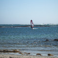 IMGP5613_lzn.jpg