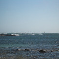 IMGP5614_lzn.jpg