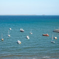 IMGP5615_lzn.jpg
