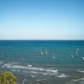 IMGP5616_lzn.jpg