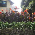 IMGP5670_lzn.jpg