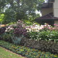 IMGP5671.JPG