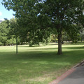 IMGP5672.JPG