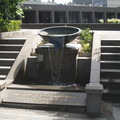 IMGP5678.JPG