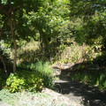 IMGP5685.JPG