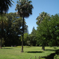 IMGP5695.JPG